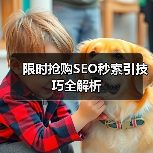 限时抢购SEO秒索引技巧全解析（图2）
