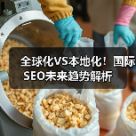 全球化VS本地化！国际SEO未来趋势解析（图4）