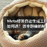 Meta标签自动生成工具如何选？效率翻倍的秘密
