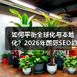 如何平衡全球化与本地化?2026年国际SEO趋势深度解析(图4) 如何平衡全球化与本地化?2026年国际SEO趋势深度解析(图4)