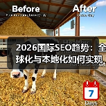 2026国际SEO趋势:全球化与本地化如何实现双赢?(图4) 2026国际SEO趋势:全球化与本地化如何实现双赢?(图4)