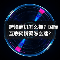 跨境商机怎么抓?国际互联网桥梁怎么建?(图3) 跨境商机怎么抓?国际互联网桥梁怎么建?(图3)