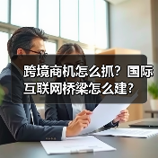 跨境商机怎么抓?国际互联网桥梁怎么建?(图4) 跨境商机怎么抓?国际互联网桥梁怎么建?(图4)