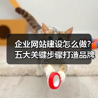 企业网站建设怎么做?五大关键步骤打造品牌新高度(图2) 企业网站建设怎么做?五大关键步骤打造品牌新高度(图2)