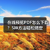 在线预览PDF怎么下载?5种方法轻松搞定(图4) 在线预览PDF怎么下载?5种方法轻松搞定(图4)