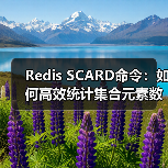 Redis SCARD命令：如何高效统计集合元素数量？