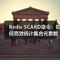 Redis SCARD命令:如何高效统计集合元素数量?(图4) Redis SCARD命令:如何高效统计集合元素数量?(图4)