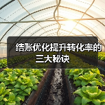 结账优化提升转化率的三大秘诀(图4) 结账优化提升转化率的三大秘诀(图4)