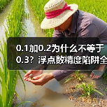 0.1加0.2为什么不等于0.3?浮点数精度陷阱全解析(图2) 0.1加0.2为什么不等于0.3?浮点数精度陷阱全解析(图2)