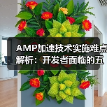 AMP加速技术实施难点解析:开发者面临的五大挑战(图2) AMP加速技术实施难点解析:开发者面临的五大挑战(图2)