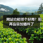 网站功能哪个好用?别再盲目加插件了(图3) 网站功能哪个好用?别再盲目加插件了(图3)