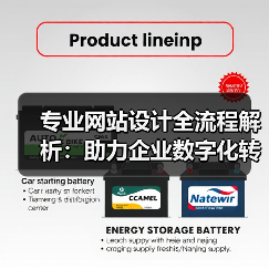 专业网站设计全流程解析：助力企业数字化转型