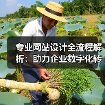 专业网站设计全流程解析:助力企业数字化转型(图2) 专业网站设计全流程解析:助力企业数字化转型(图2)