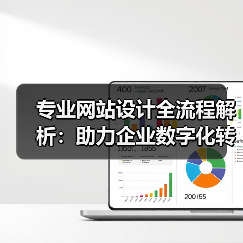 专业网站设计全流程解析:助力企业数字化转型(图4) 专业网站设计全流程解析:助力企业数字化转型(图4)