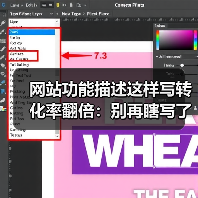 网站功能描述这样写转化率翻倍：别再瞎写了！（图3）