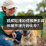 视频轮播如何颠覆多媒体展示提升转化率？（图2）