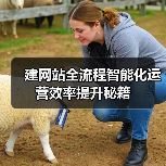 建网站全流程智能化运营效率提升秘籍