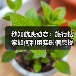 秒知航班动态:旅行搜索如何利用实时信息提升效率(图4) 秒知航班动态:旅行搜索如何利用实时信息提升效率(图4)