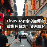 Linux top命令如何高效监控系统？资源优化全攻略