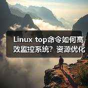Linux top命令如何高效监控系统？资源优化全攻略（图2）