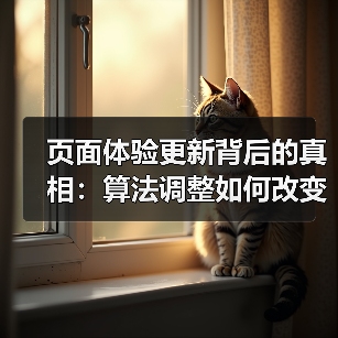 页面体验更新背后的真相:算法调整如何改变SEO优化?(图1) 页面体验更新背后的真相:算法调整如何改变SEO优化?(图1)