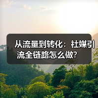 从流量到转化:社媒引流全链路怎么做?(图2) 从流量到转化:社媒引流全链路怎么做?(图2)