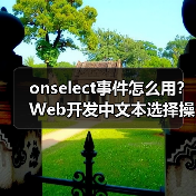 onselect事件怎么用?Web开发中文本选择操作详解(图4) onselect事件怎么用?Web开发中文本选择操作详解(图4)