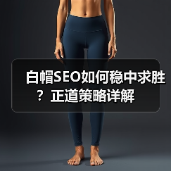 白帽SEO如何稳中求胜?正道策略详解(图2) 白帽SEO如何稳中求胜?正道策略详解(图2)