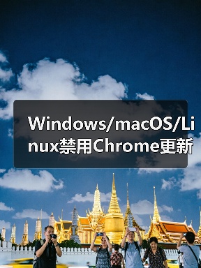 Windows/macOS/Linux禁用Chrome更新全攻略(图1) Windows/macOS/Linux禁用Chrome更新全攻略(图1)