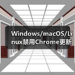 Windows/macOS/Linux禁用Chrome更新全攻略(图3) Windows/macOS/Linux禁用Chrome更新全攻略(图3)