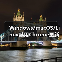 Windows/macOS/Linux禁用Chrome更新全攻略(图4) Windows/macOS/Linux禁用Chrome更新全攻略(图4)