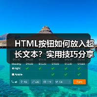 HTML按钮如何放入超长文本?实用技巧分享(图4) HTML按钮如何放入超长文本?实用技巧分享(图4)
