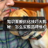 知识面板优化技巧大揭秘:怎么实现品牌核心信息精准曝光?(图4) 知识面板优化技巧大揭秘:怎么实现品牌核心信息精准曝光?(图4)