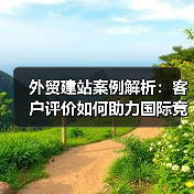 外贸建站案例解析：客户评价如何助力国际竞争力提升（图2）