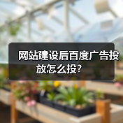 网站建设后百度广告投放怎么投？（图2）