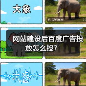 网站建设后百度广告投放怎么投？（图3）