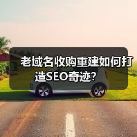 老域名收购重建如何打造SEO奇迹?(图4) 老域名收购重建如何打造SEO奇迹?(图4)