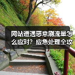 网站遭遇恶意刷流量怎么应对?应急处理全攻略(图2) 网站遭遇恶意刷流量怎么应对?应急处理全攻略(图2)