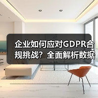 企业如何应对GDPR合规挑战？全面解析数据保护策略
