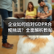 企业如何应对GDPR合规挑战?全面解析数据保护策略(图3) 企业如何应对GDPR合规挑战?全面解析数据保护策略(图3)