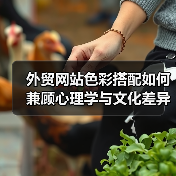 外贸网站色彩搭配如何兼顾心理学与文化差异提升吸引力?(图4) 外贸网站色彩搭配如何兼顾心理学与文化差异提升吸引力?(图4)