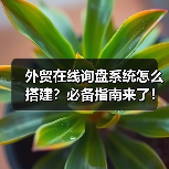 外贸在线询盘系统怎么搭建?必备指南来了!(图3) 外贸在线询盘系统怎么搭建?必备指南来了!(图3)