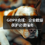 GDPR合规：企业数据保护必读指南（图3）