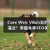 Core Web Vitals如何演进?掌握未来SEO关键指标(图4) Core Web Vitals如何演进?掌握未来SEO关键指标(图4)