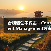 合规运营不踩雷：Consent Management方案打造全攻略（图2）