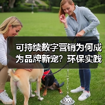 可持续数字营销为何成为品牌新宠？环保实践揭秘长期价值（图3）
