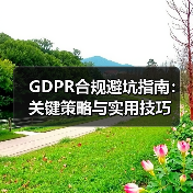 GDPR合规避坑指南：关键策略与实用技巧（图2）