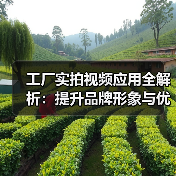 工厂实拍视频应用全解析：提升品牌形象与优化生产管理的关键（图3）