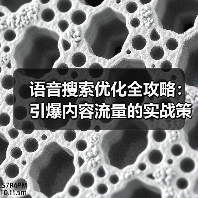 语音搜索优化全攻略：引爆内容流量的实战策略（图4）