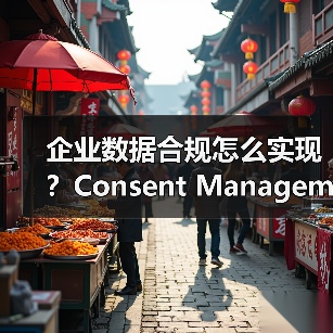 企业数据合规怎么实现？Consent Management全流程管理指南（图3）